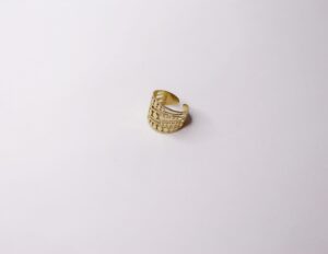 Anillo dorado círculos